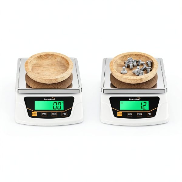 Bonvoisin 6000g Lab Scale with Stainless Steel Pan Dual Power-6